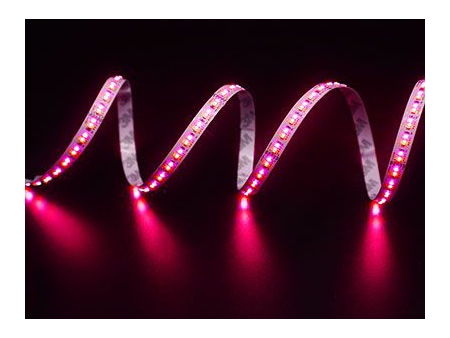 Fita LED multicolor (RGBCCT)