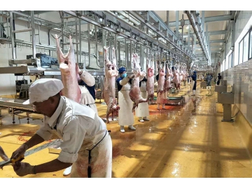 Processamento da carne ovina