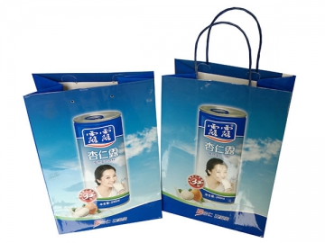 Máquina de fabricar sacolas de papel (Sacola de papel com fundo quadrado e alças)